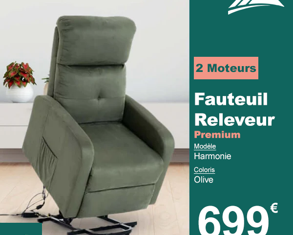 Fauteuil Releveur Premium - 2 Moteurs - Olive - Modèle Harmonie